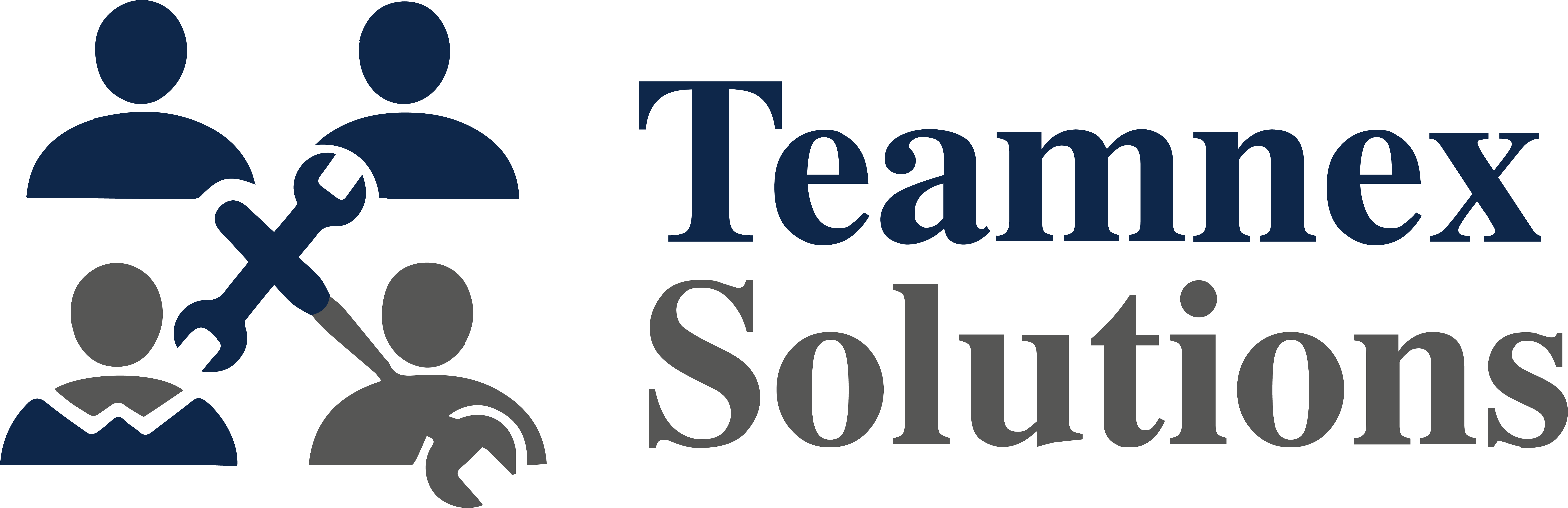 Teamnex Solutions Support